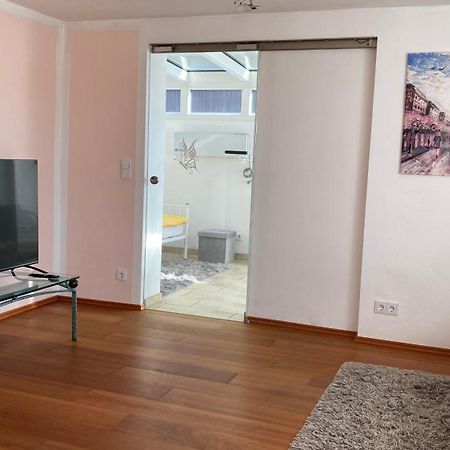 Fewo Luxus Wohnung Im Eigenen Ferienhaus, 120 Qm, Naehe Regensburg Mit Balkon, Terrasse & Garten, Gute Zuganbindung Laber Exteriér fotografie