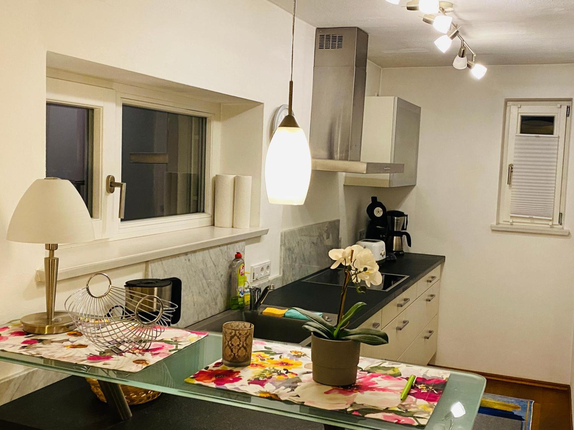 Fewo Luxus Wohnung Im Eigenen Ferienhaus, 120 Qm, Naehe Regensburg Mit Balkon, Terrasse & Garten, Gute Zuganbindung Laber Exteriér fotografie